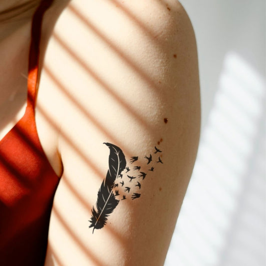Aves