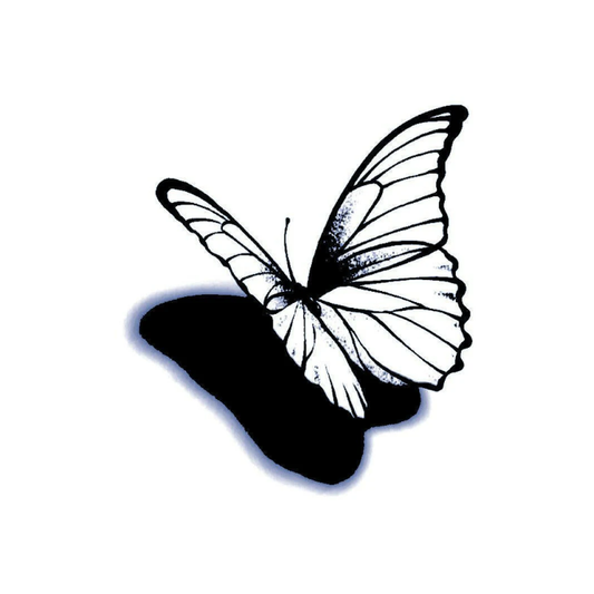 Dissolve & Fly