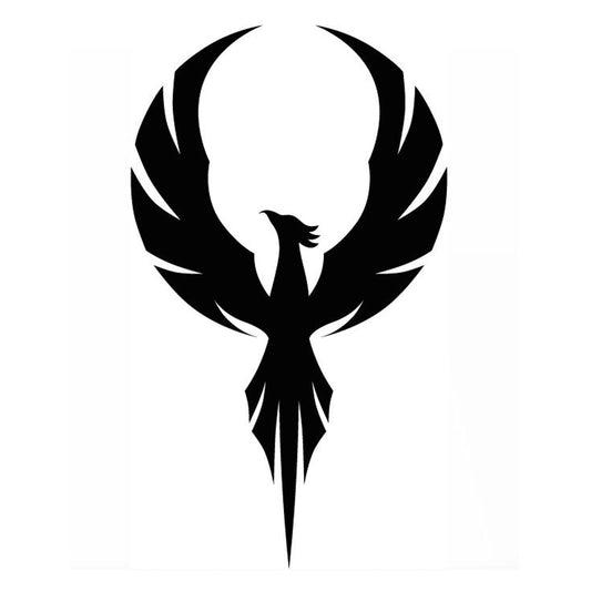 Phoenix Rise from Ashes