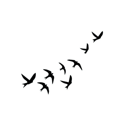 Freedom