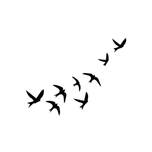 Freedom