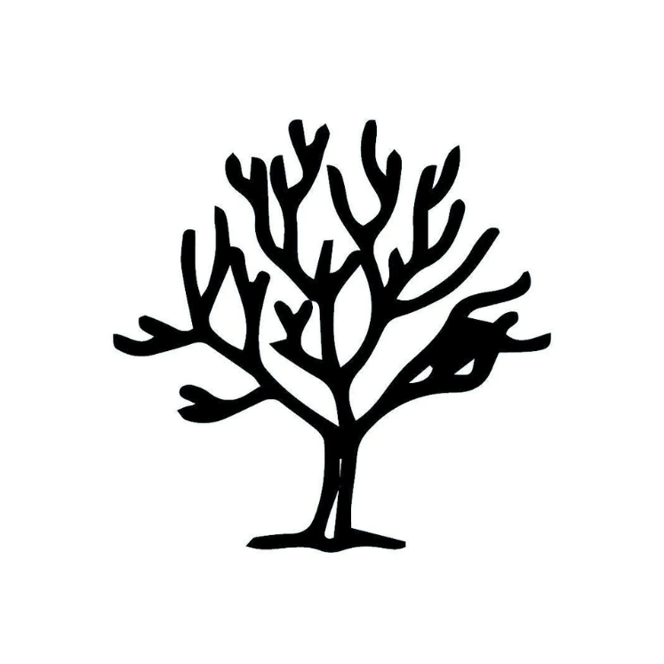 Roots