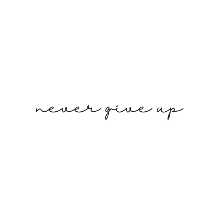 Never Give  Up
