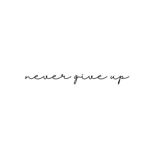Never Give  Up