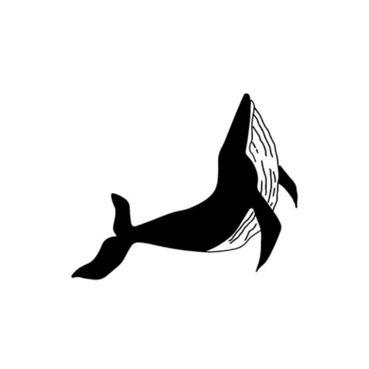 Whale