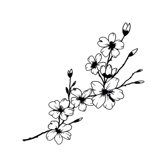 Cherry Blossom