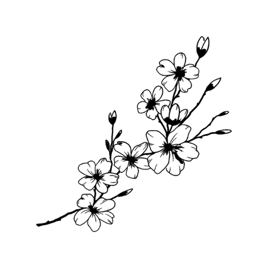 Cherry Blossom