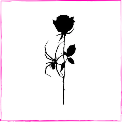 Black Rose & Spider