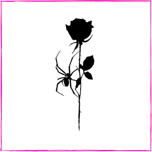 Black Rose & Spider
