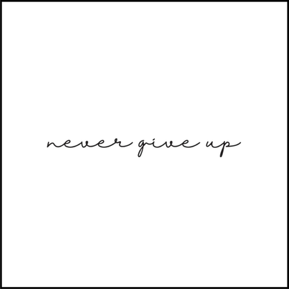 Never Give  Up