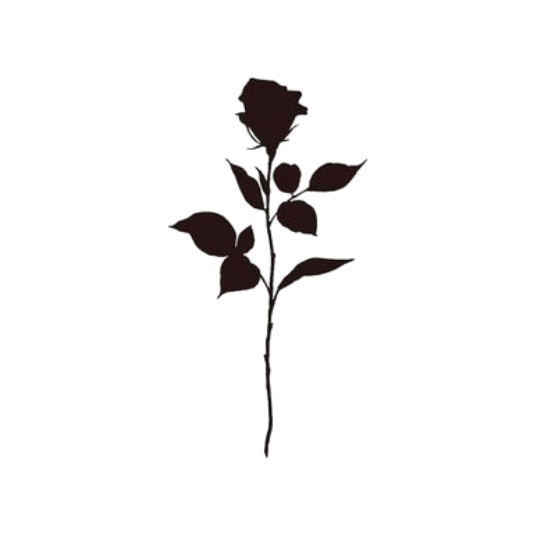 Black Rose