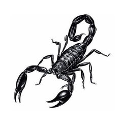 Scorpio