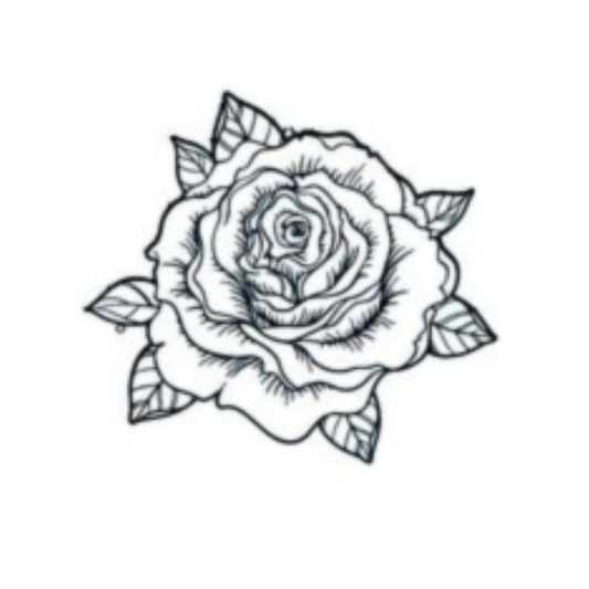 La Vita Rose