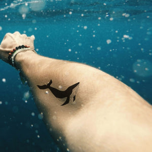 Whale